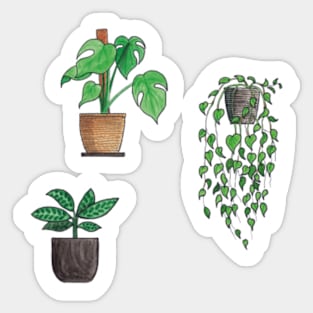 House Plant Sticker Pack 4 Sticker